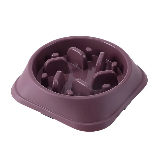 Pet Slow Feeder Bowl