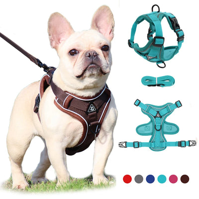 No-Pull Dog Harness and Leash Set