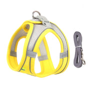 Adjustable Dog Harness and Leash Set