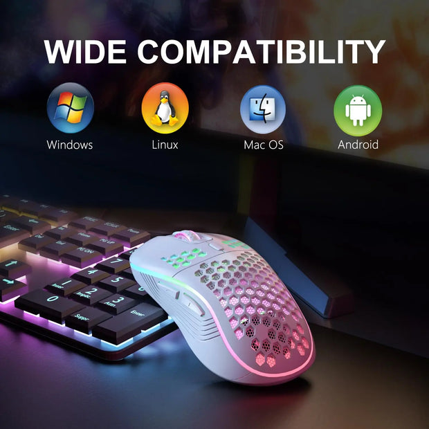 Wireless Gaming Mouse RGB Lighting Charging 2.4G