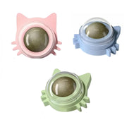 Catnip Ball Toys