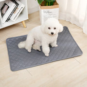 Reusable Dog Pee Pad