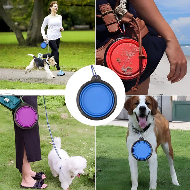 Collapsible Silicone Pet Bowl