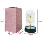 Rose Light Night Lamp