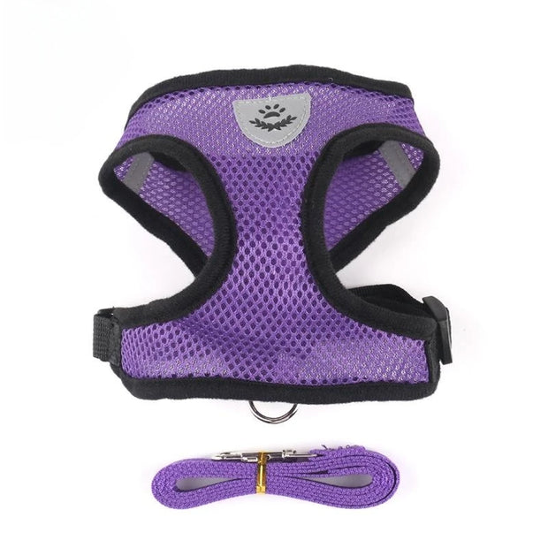 Adjustable Cat and Dog Harness with Lead