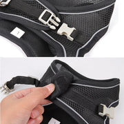 Adjustable Dog Harness and Leash Set