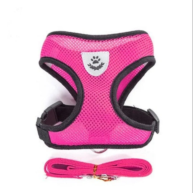 Adjustable Cat and Dog Harness with Lead