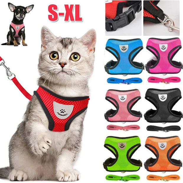 Adjustable Cat and Dog Harness with Lead