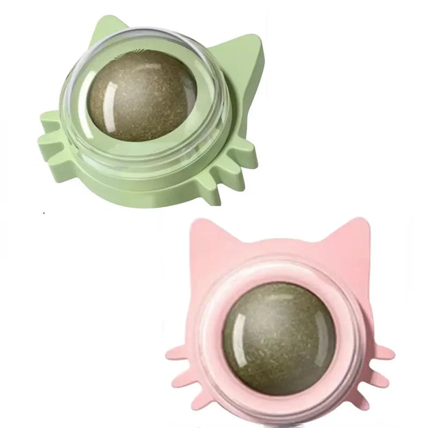 Catnip Ball Toys