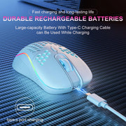 Wireless Gaming Mouse RGB Lighting Charging 2.4G