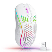 Wireless Gaming Mouse RGB Lighting Charging 2.4G