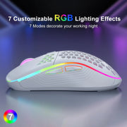 Wireless Gaming Mouse RGB Lighting Charging 2.4G