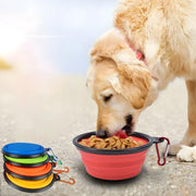 Collapsible Silicone Pet Bowl