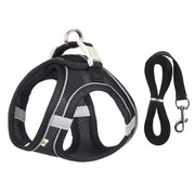 Adjustable Dog Harness and Leash Set