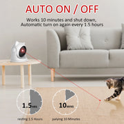 Laser Toy For Pets