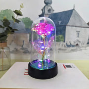 Rose Light Night Lamp