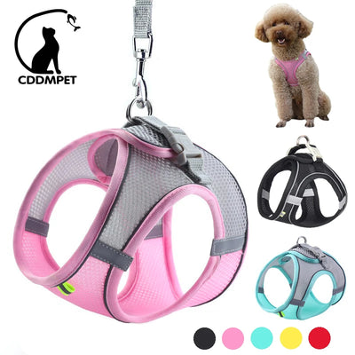 Adjustable Dog Harness and Leash Set