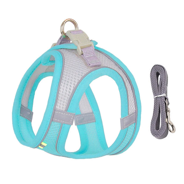 Adjustable Dog Harness and Leash Set